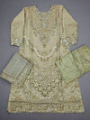 MB light olive green colour hand embroidered shirt in organza fabric