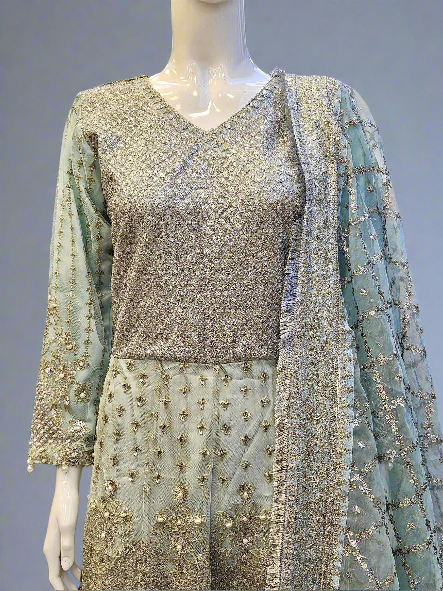 FZS Nira Ice blue colour embroidered