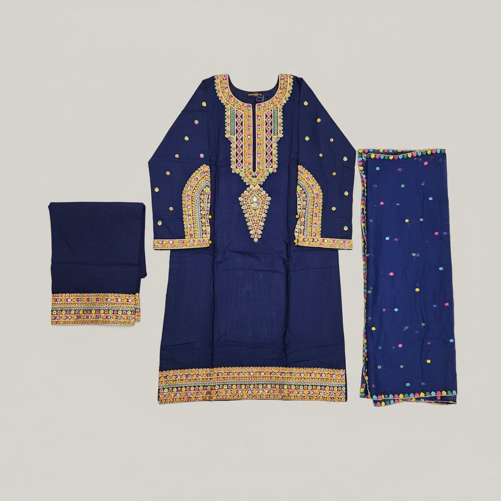 Chromatic Celebration | Navy & Black Linen Kameez with Multi-Colour Embroidery