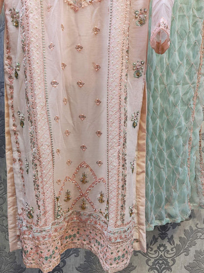 AG pastel pink and mint green colour hand embellished chiffon fabric shalwar kameez with embroidery dupatta in sizes (S to 7XL) womenswear traditional plus size comfort - AdoreByKhwahish