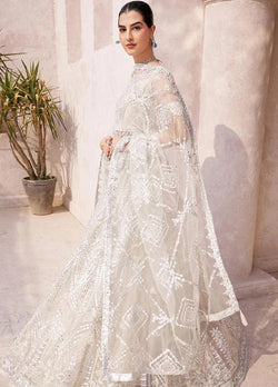 EA off - white colour net handmade foil work embroidered long dress and dupatta embroidery womenswear plus size traditional dress - AdoreByKhwahish