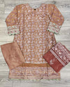 IZK salmon pink and gold colour hand embellished chiffon fabric shalwar kameez with embroidery dupatta in sizes (S to 7XL) womenswear traditional plus size - AdoreByKhwahish